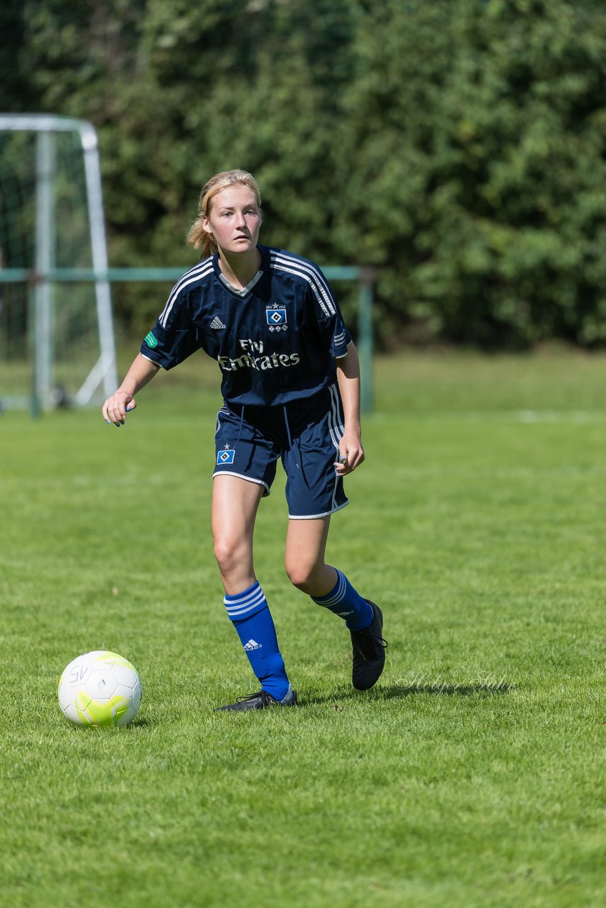 Bild 208 - B-Juniorinnen VfL Pinneberg - HSV : Ergebnis: 1:4